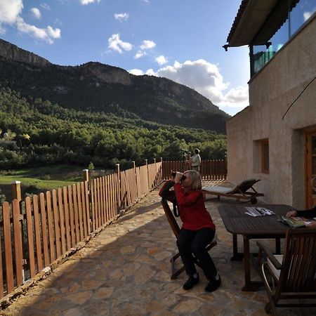 Observatorio De Aves Mas De Bunyol Valderrobres Kültér fotó